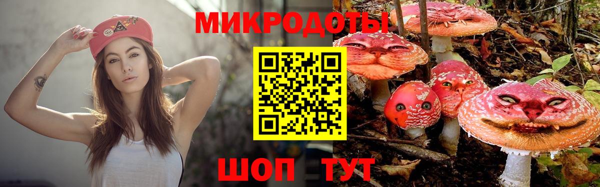Галлюциногенные грибы Magic Shrooms Абакан